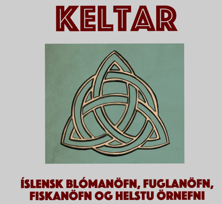 Sögufélagið Steini býður upp á fyrirlestur í Fólkvangi Kjalarnesi, laugardaginn 20.kl. 13.